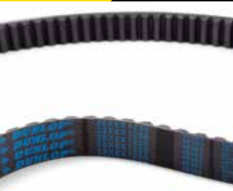 VS55X16X1500 DUN Dunlop Variable Speed V-Belt